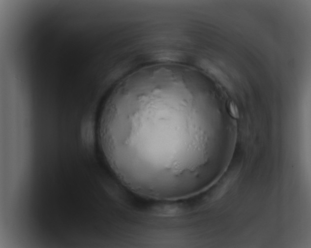 X0000101680299200807101427