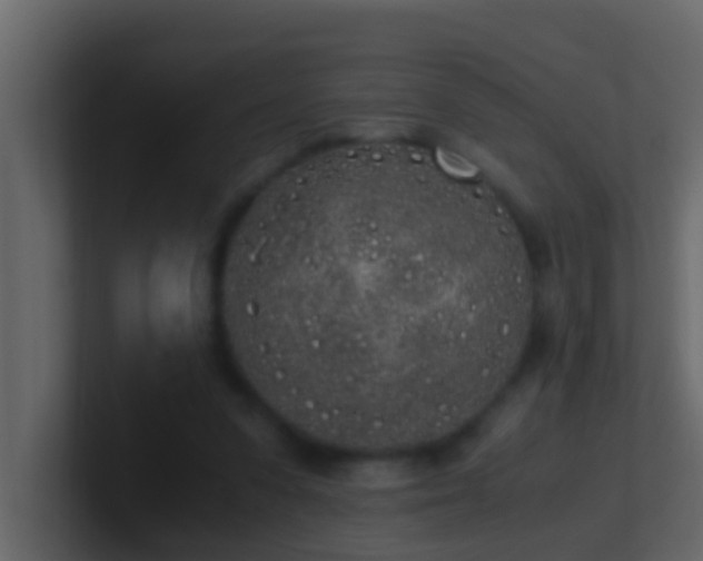 X0000101680303200807101427