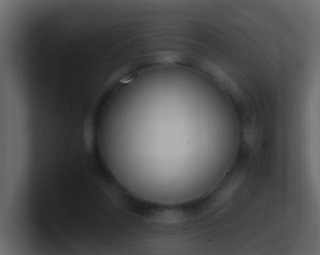 X0000101680304200807101427