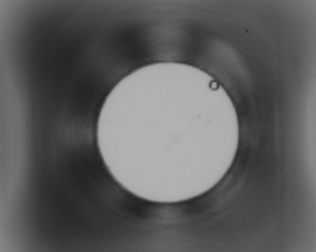 X0000101680305200807101427