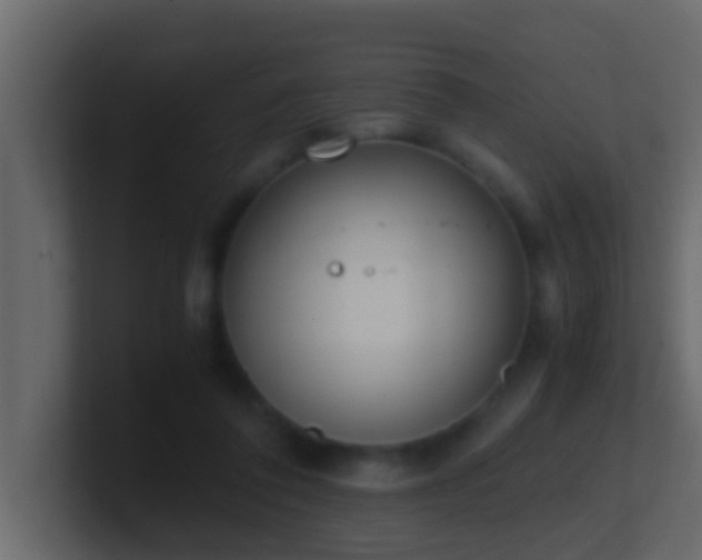 X0000101680308200807101427