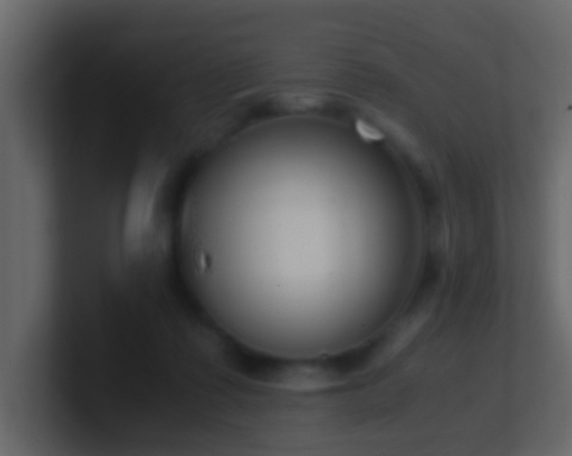 X0000101680315200807101427