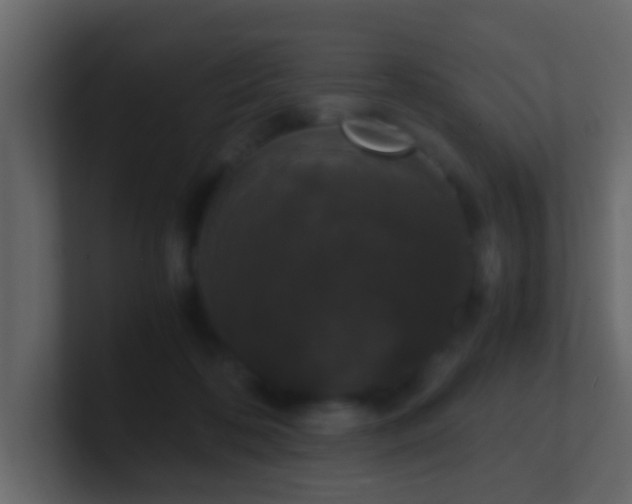 X0000101680316200807101427