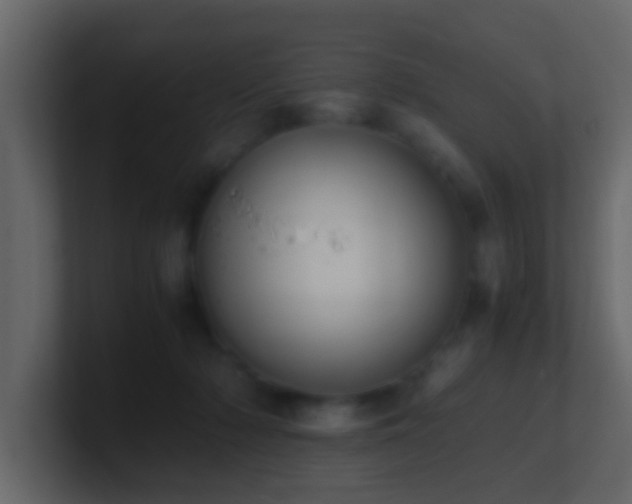 X0000101680318200807101427