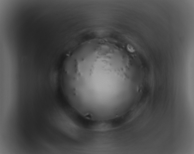 X0000101680319200807101427