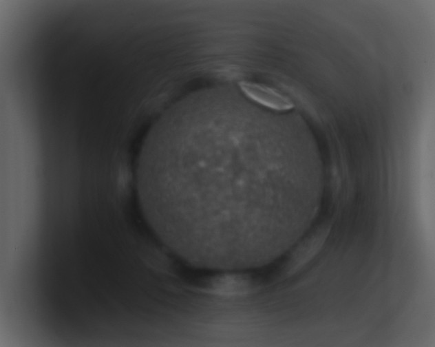 X0000101680320200807101427