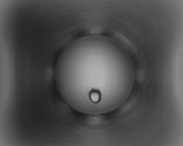 X0000101680321200807101427