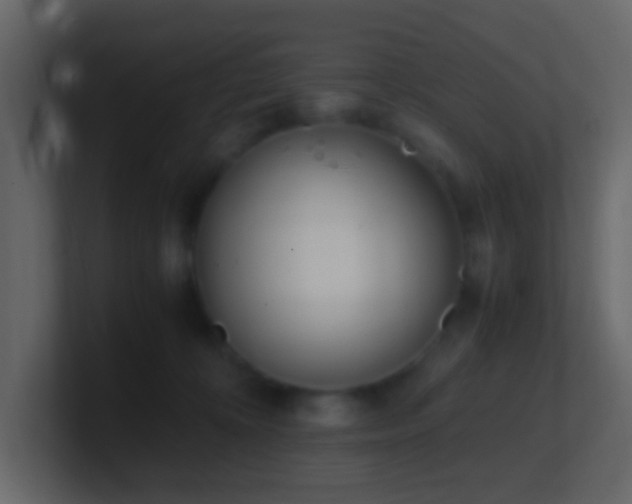 X0000101680324200807101427