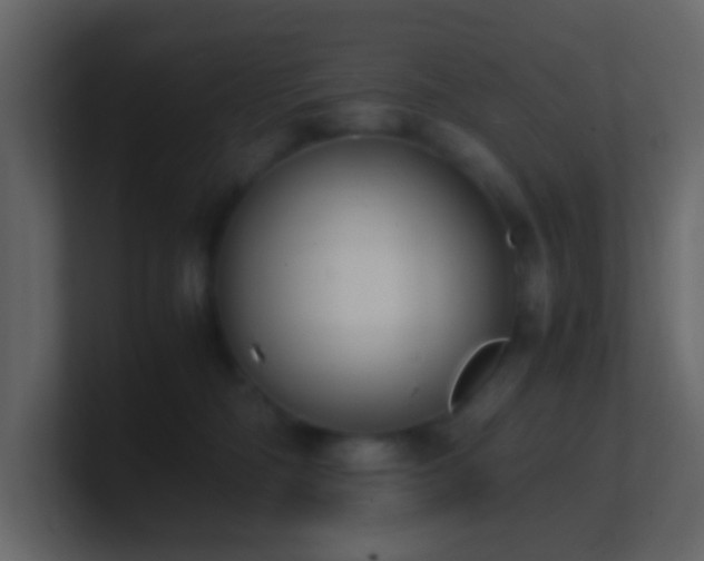 X0000101680326200807101427