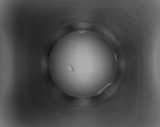 X0000101680328200807101427