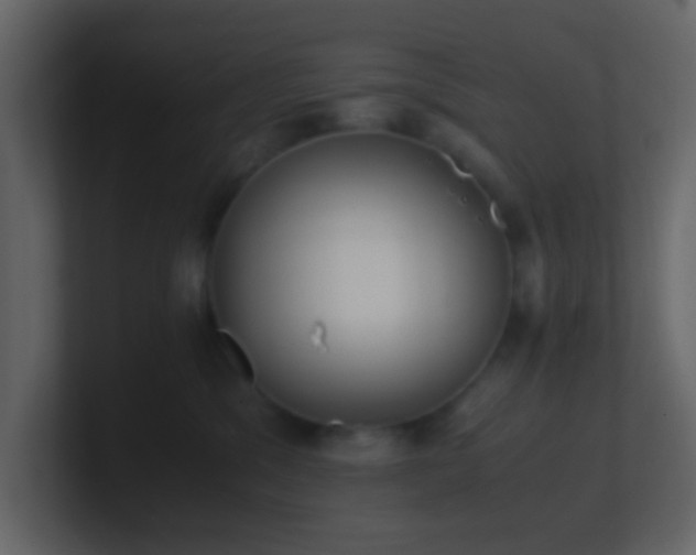 X0000101680329200807101427