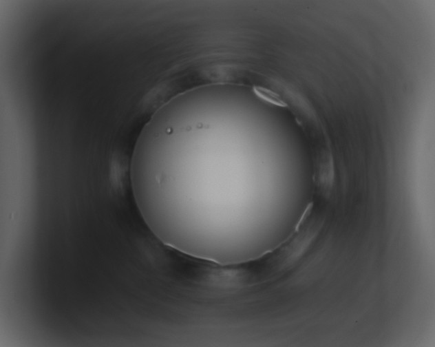 X0000101680332200807101427