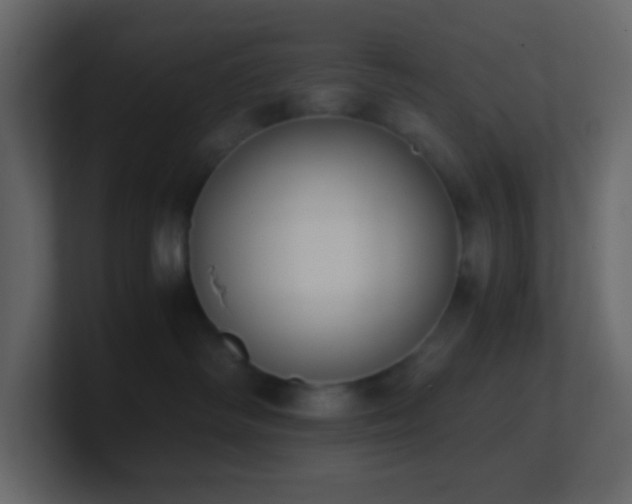 X0000101680334200807101427