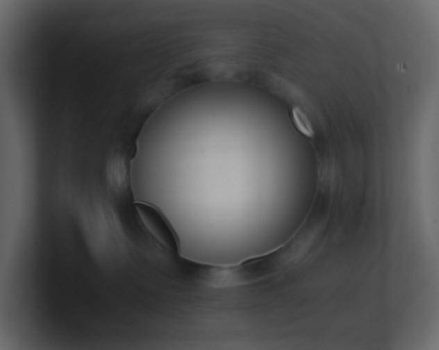 X0000101680335200807101427