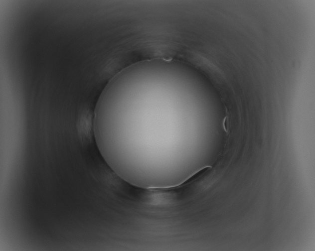 X0000101680336200807101427