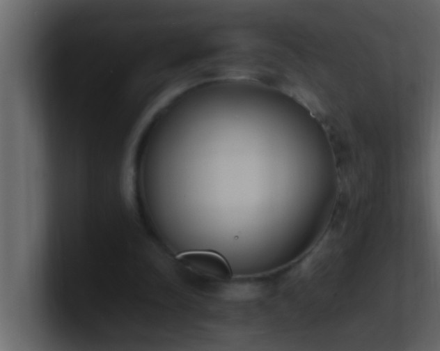 X0000101680342200807101426