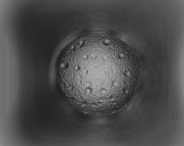 X0000101680343200807101426