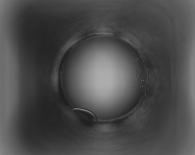 X0000101680344200807101426