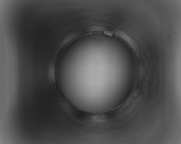 X0000101680345200807101426