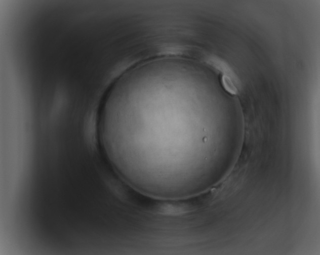 X0000101680346200807101426