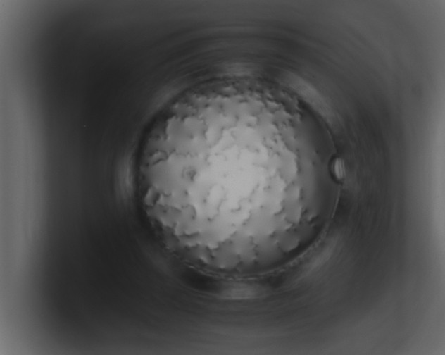 X0000101680347200807101426