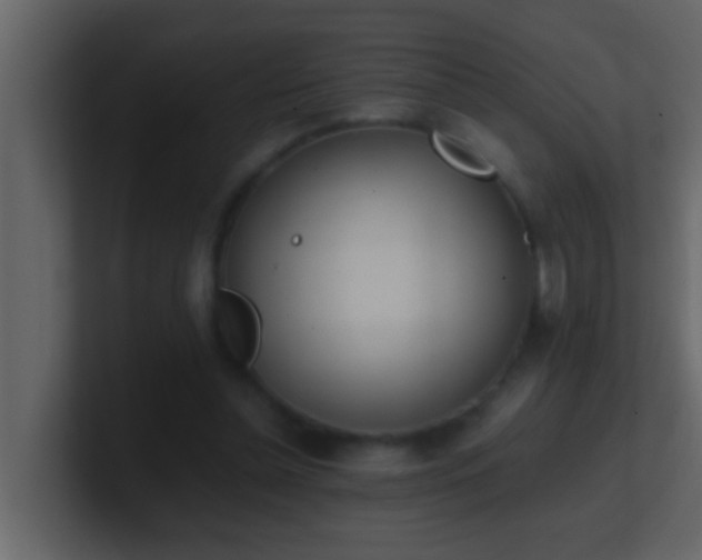 X0000101680348200807101426