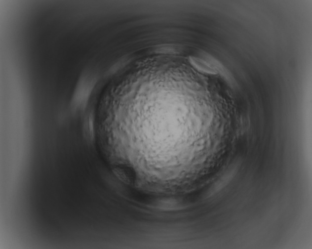 X0000101680349200807101426