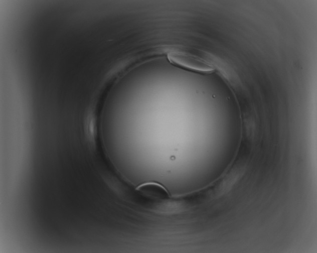 X0000101680350200807101426