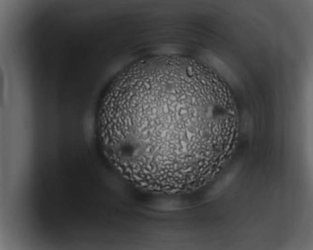 X0000101680351200807101426