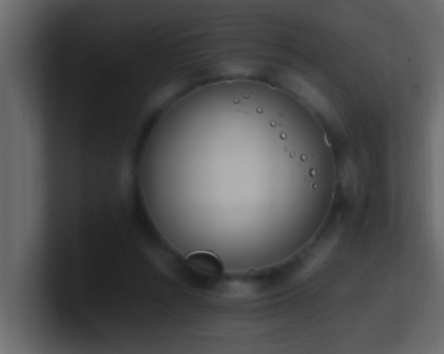 X0000101680352200807101426