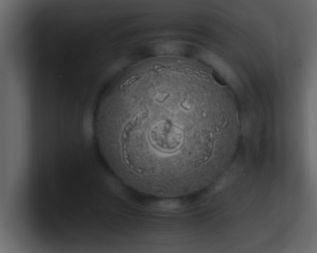 X0000101680353200807101426