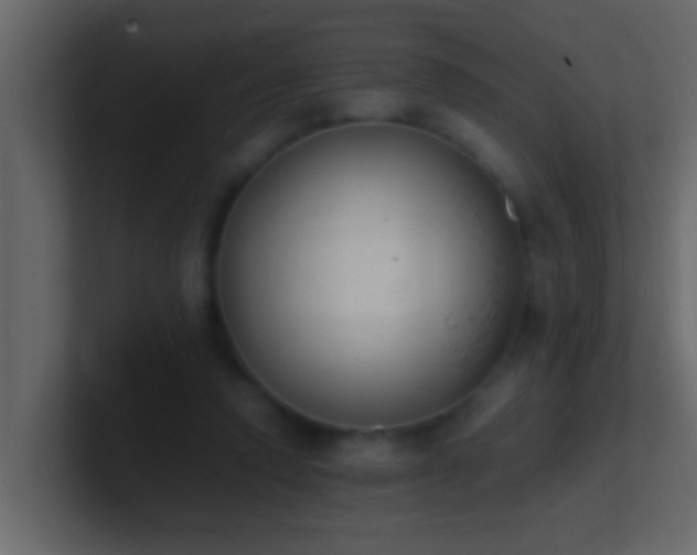 X0000101680354200807101426