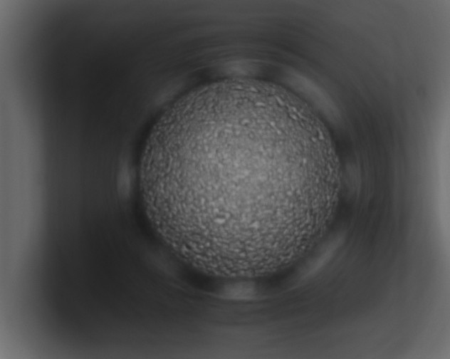 X0000101680355200807101426