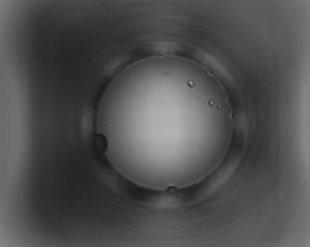 X0000101680356200807101426