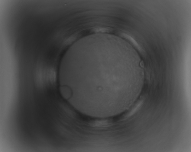 X0000101680357200807101426