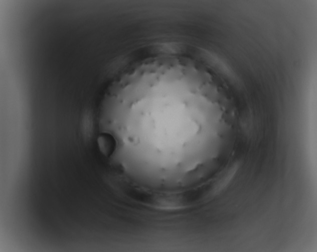 X0000101680359200807101426