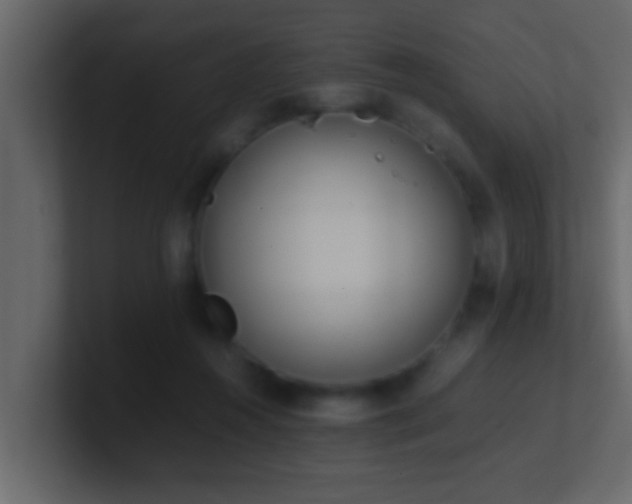 X0000101680360200807101426