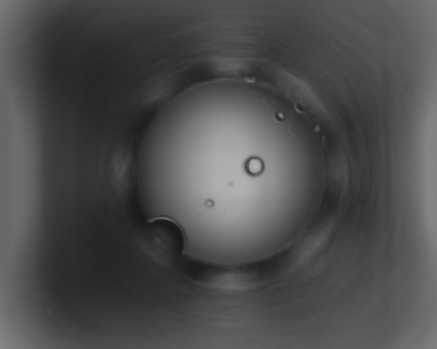 X0000101680364200807101426