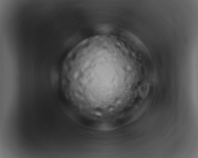 X0000101680365200807101426