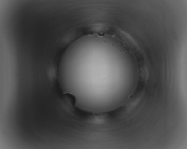 X0000101680368200807101426