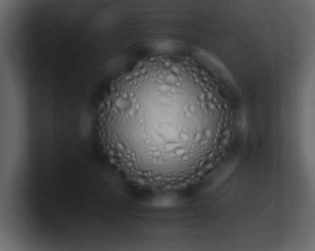 X0000101680369200807101426