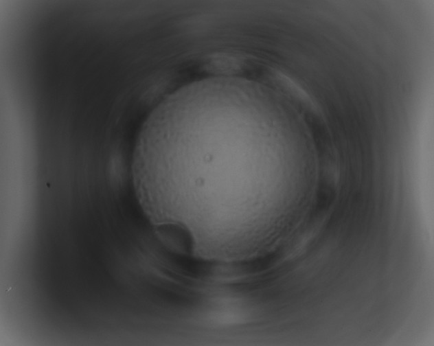 X0000101680371200807101427