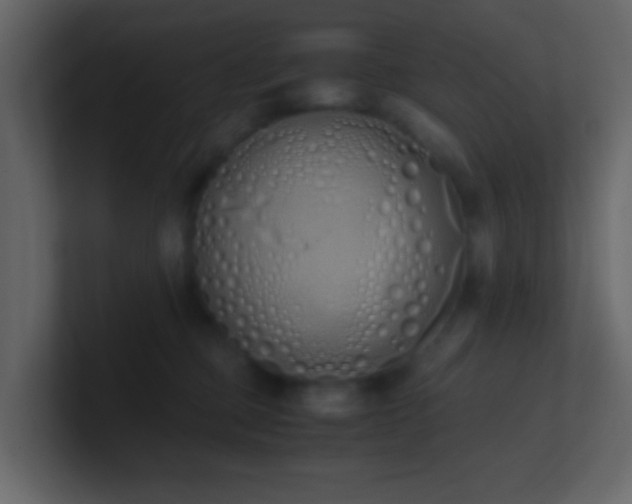 X0000101680373200807101427