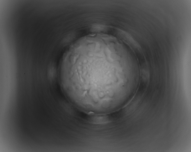 X0000101680375200807101427