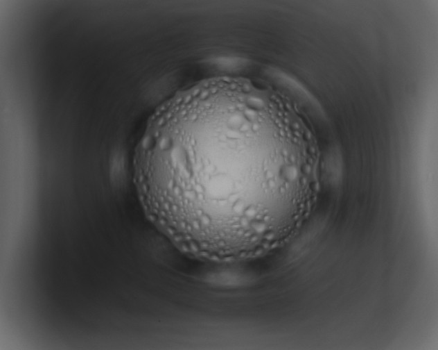 X0000101680377200807101427