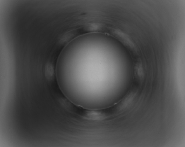 X0000101680380200807101427