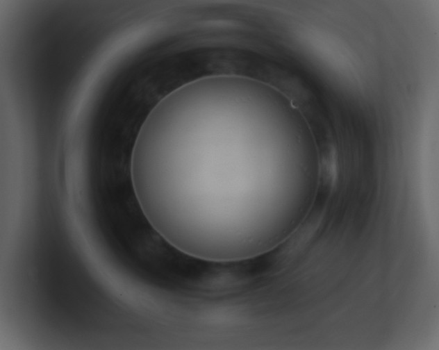 X0000101680381200807101427