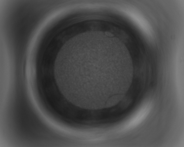 X0000101680383200807101427