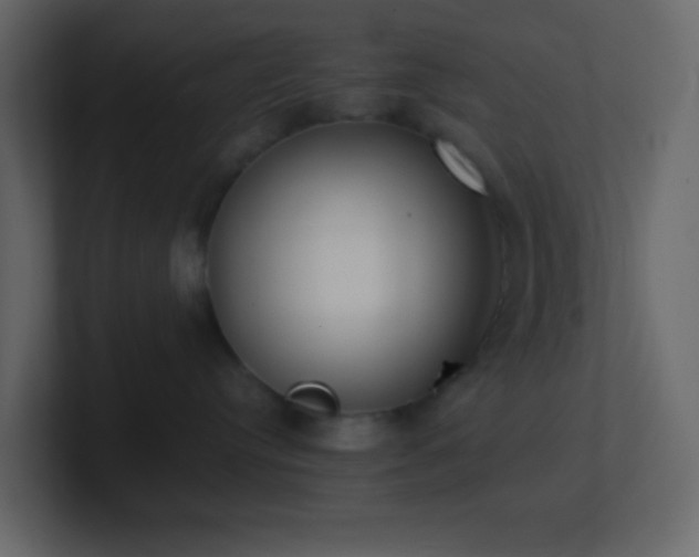 X0000101680384200807101427