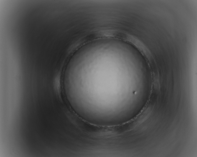 X0000101680386200807101426